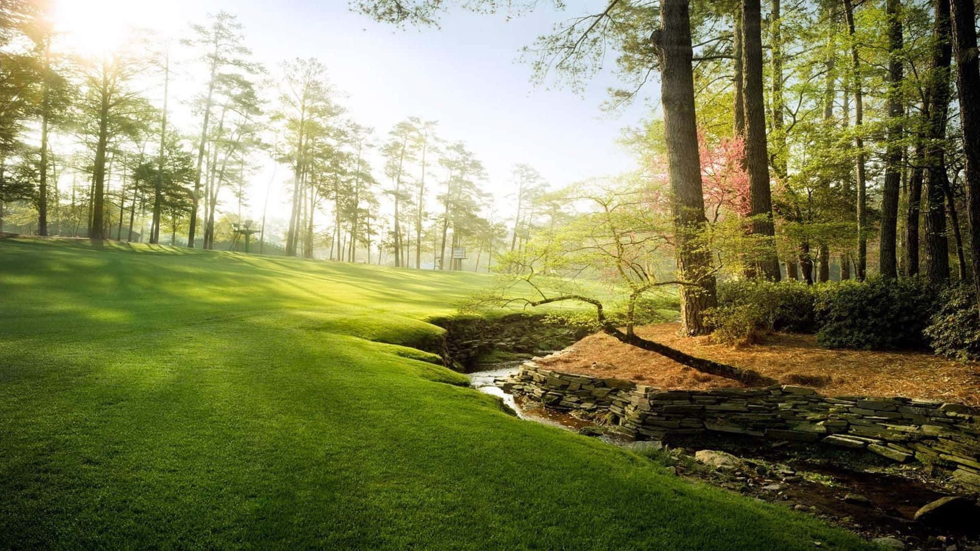 “experience The Beauty Of Augusta National Golf Course”