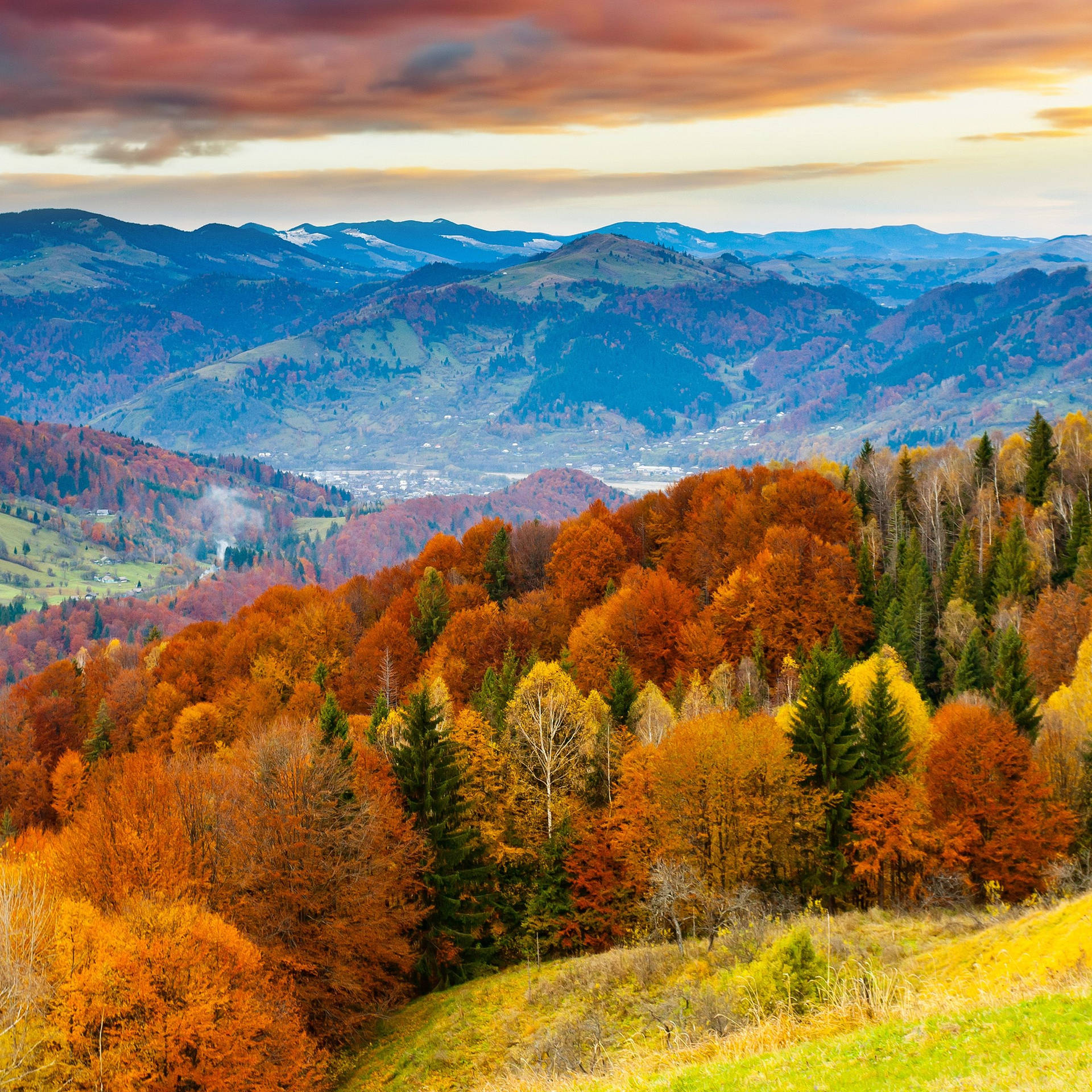 Experience The Beauty Of Fall Among The Colorful Trees Background
