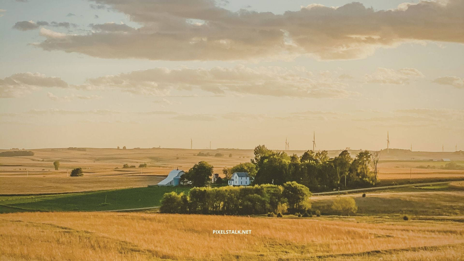 Experience The Beauty Of Fall At Our Family-owned Farm