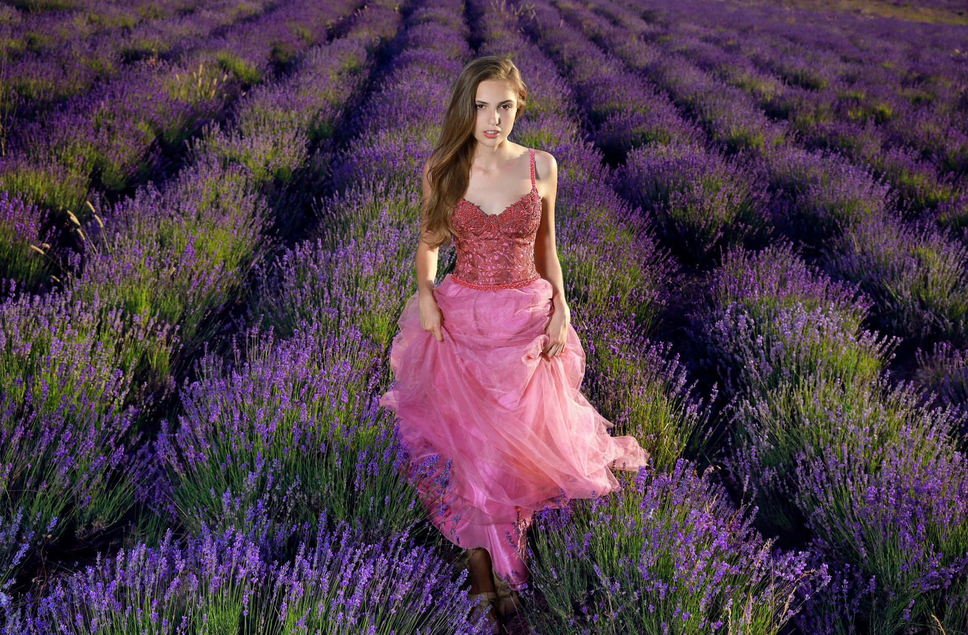 Experience The Beauty Of Lavender Fields