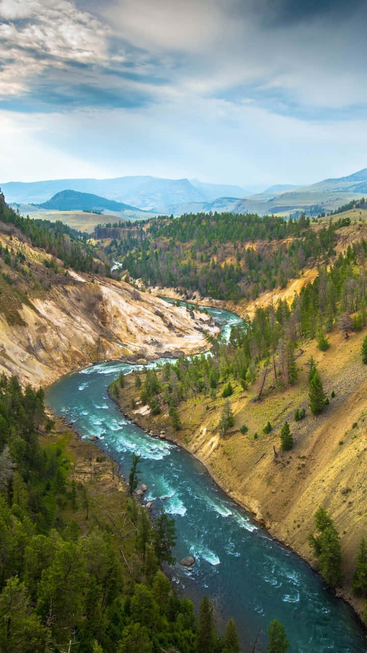 Experience The Beauty Of Yellowstone National Park