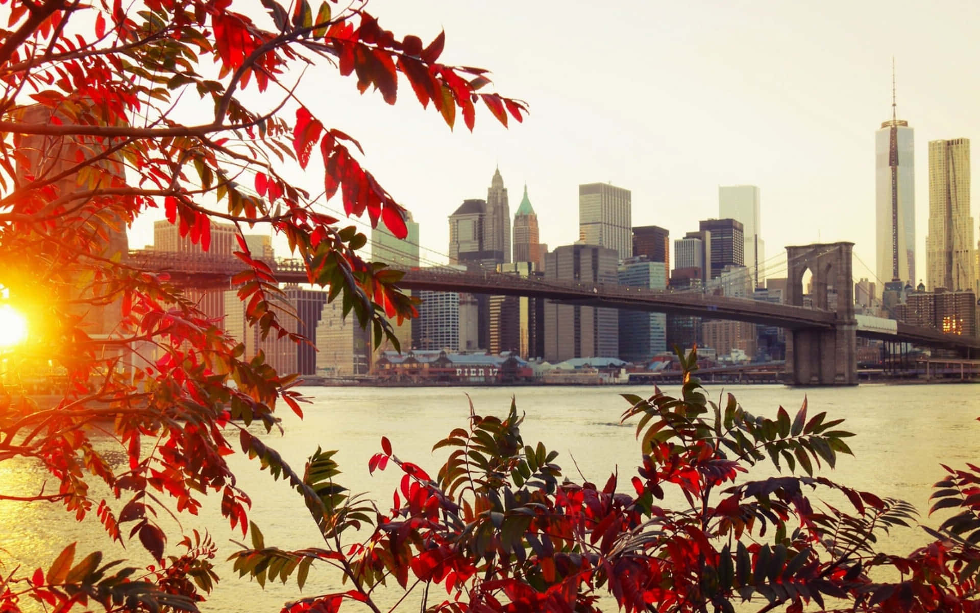 Experience The Bright Lights Of New York With The Ny Desktop Wallpaper. Background