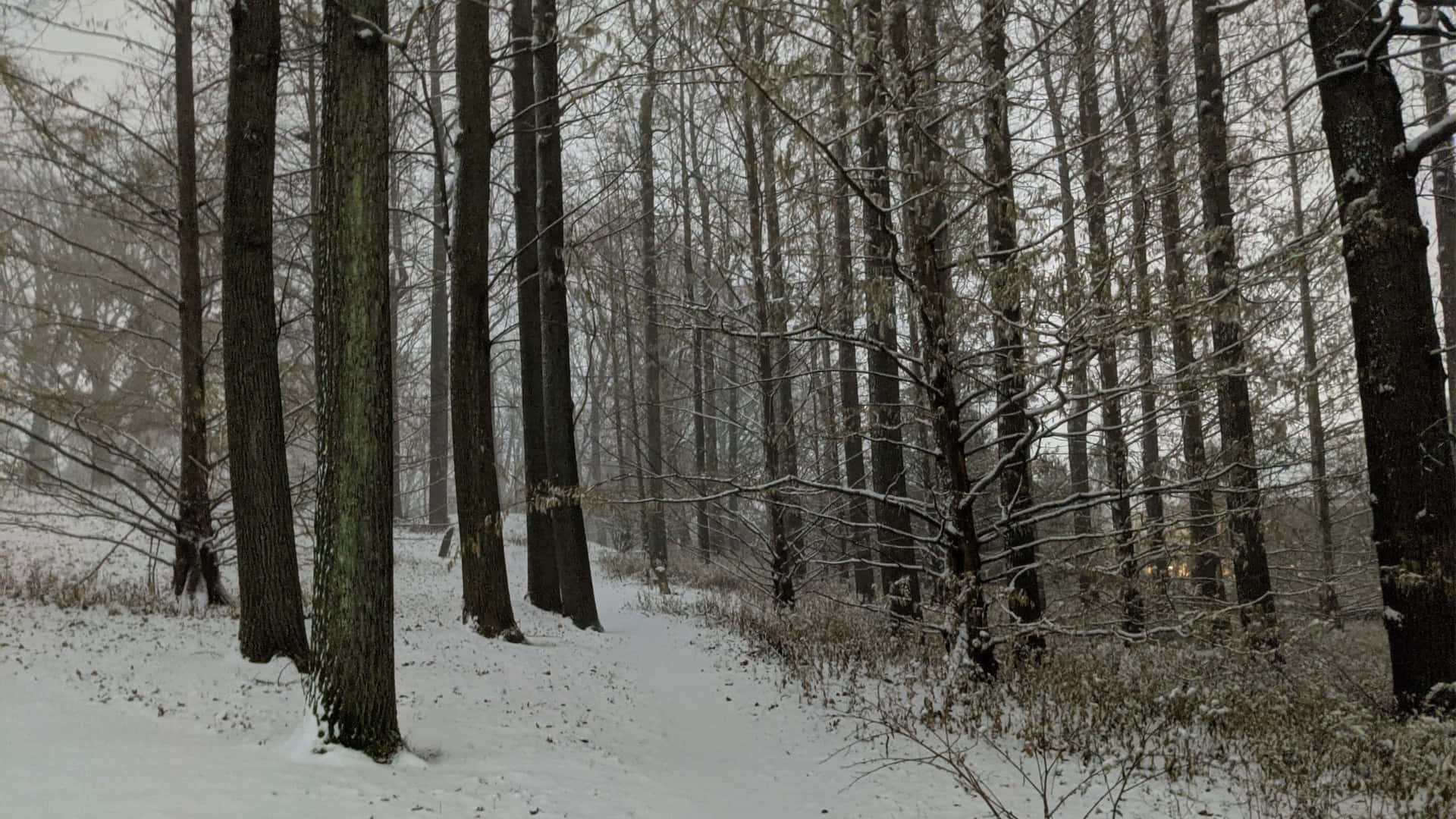 “experience The Cozy Winter Spirit With A Hot Cup Of Coffee!” Background
