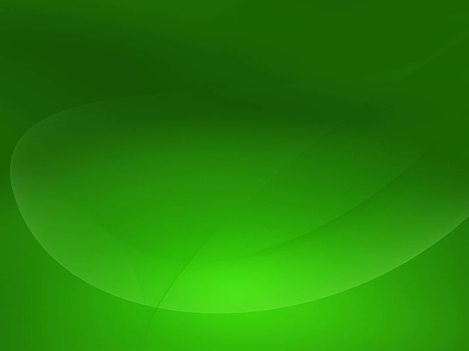Experience The Freshness Of Nature On Your Desktop Background