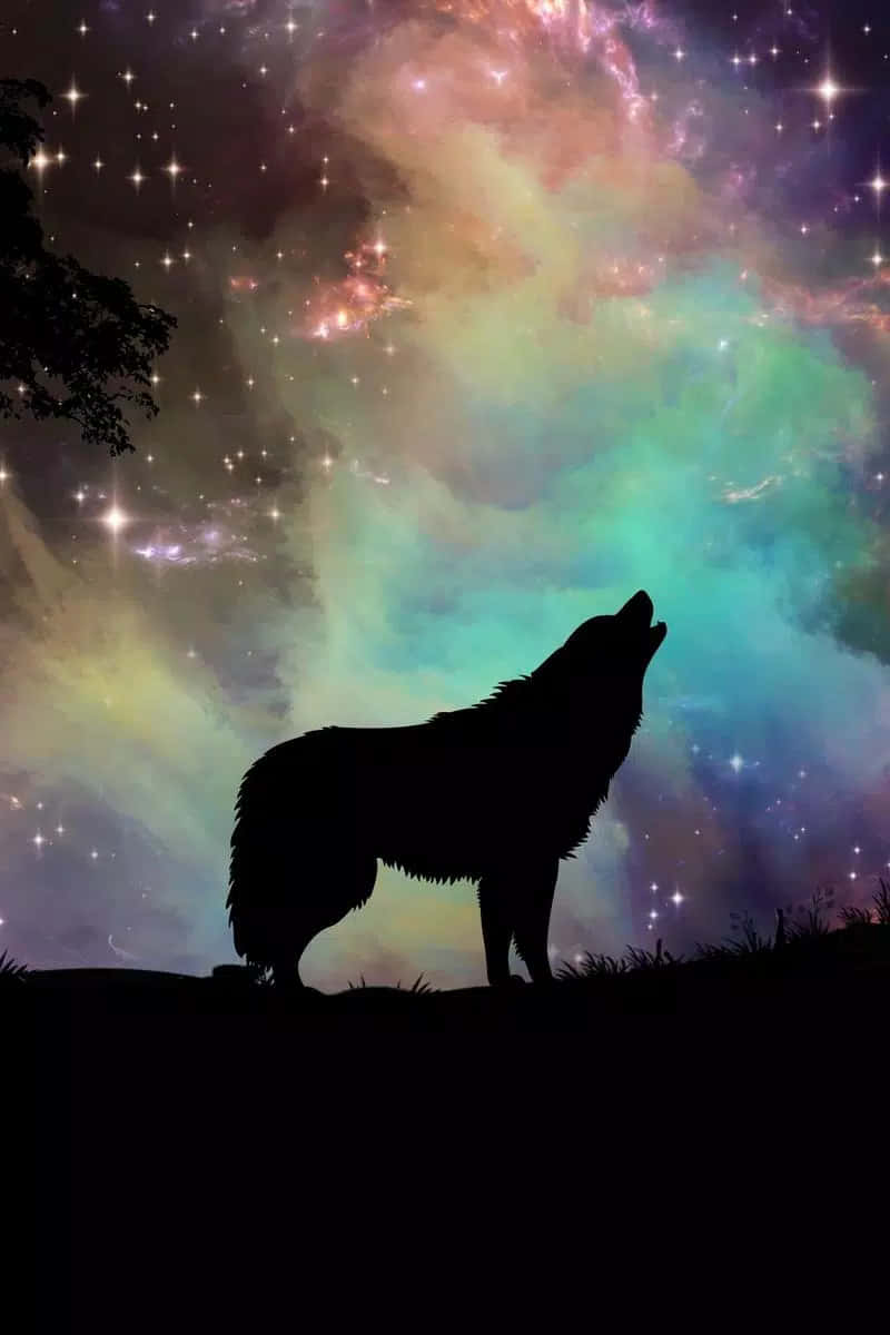 Experience The Incredible Beauty Of The Cool Animal Galaxy Background