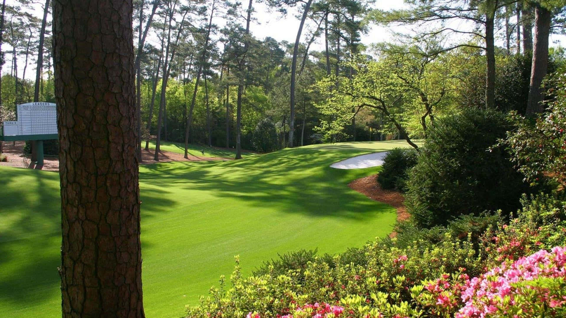 Experience The Masters In Virtual Reality With Augusta National’s Iphone App Background