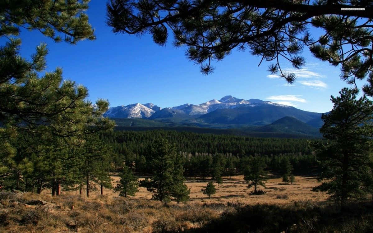 Experience The Natural Beauty Of Colorado Background