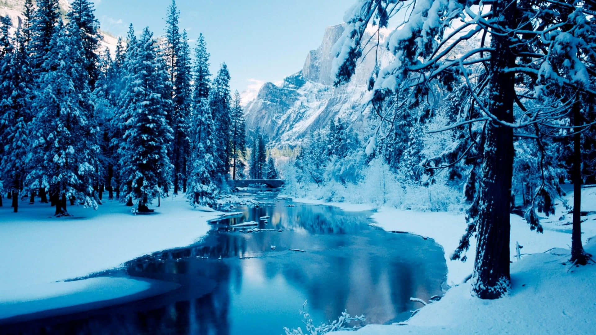 Experience The Peaceful Beauty Of Winter Forest.