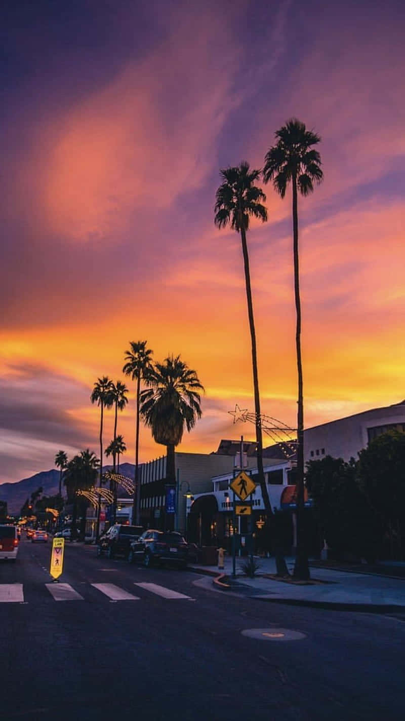 Experience The Perfect California Summer Background