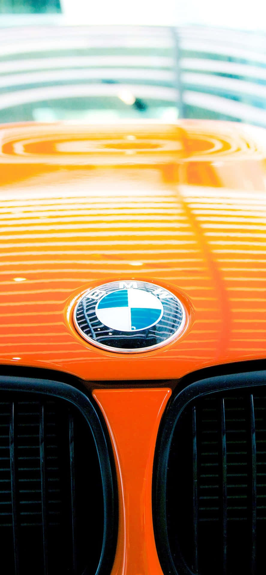 Experience The Power And Luxury Of The Bmw Logo Background