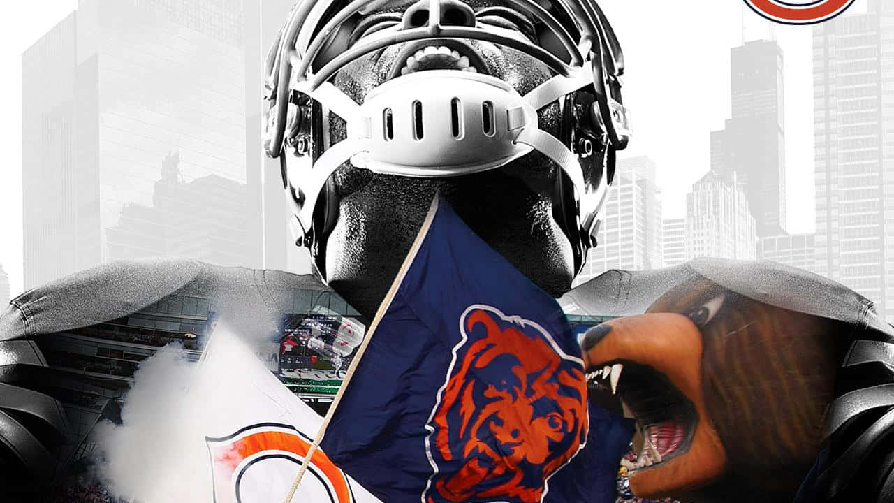 Experience The Rush Of Being A Part Of The Windy City's Loyal Sports Fans Background
