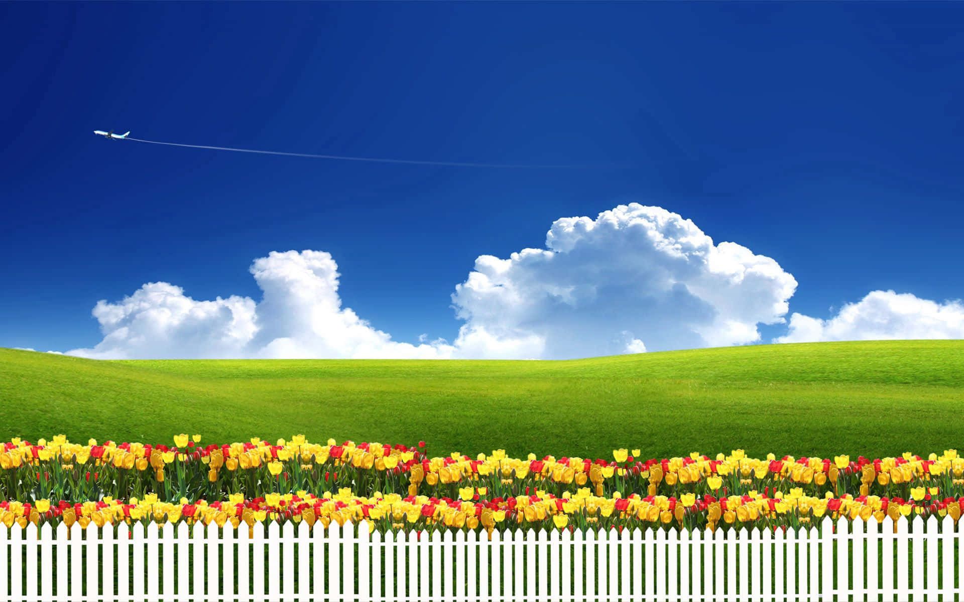 'experience The Serenity Of Nature' Background