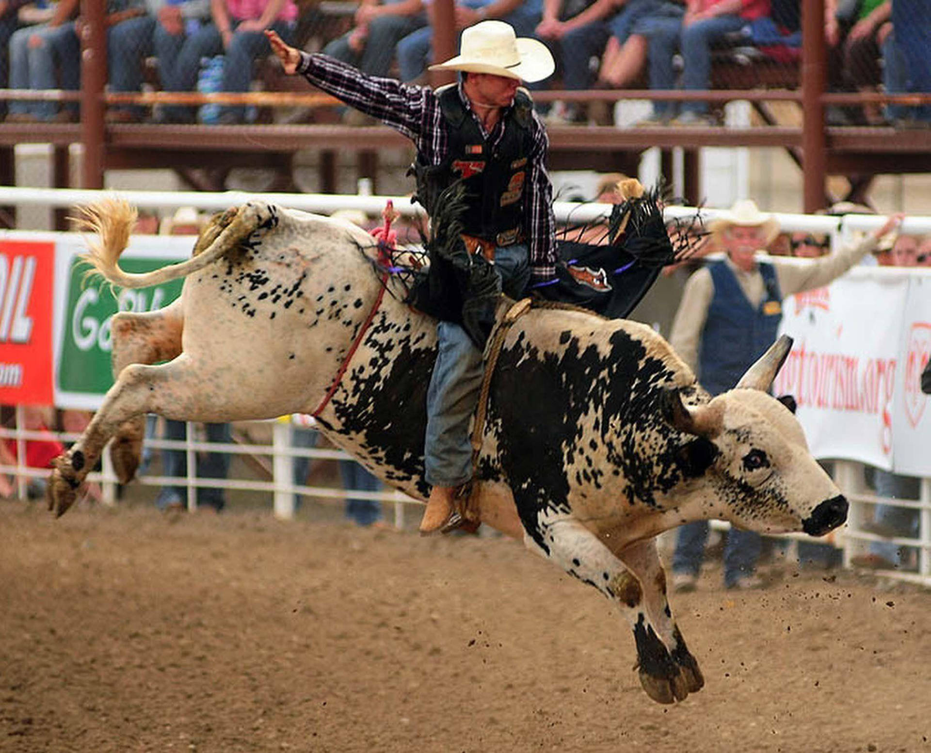 Experience The Thrill Of Bull Riding Background