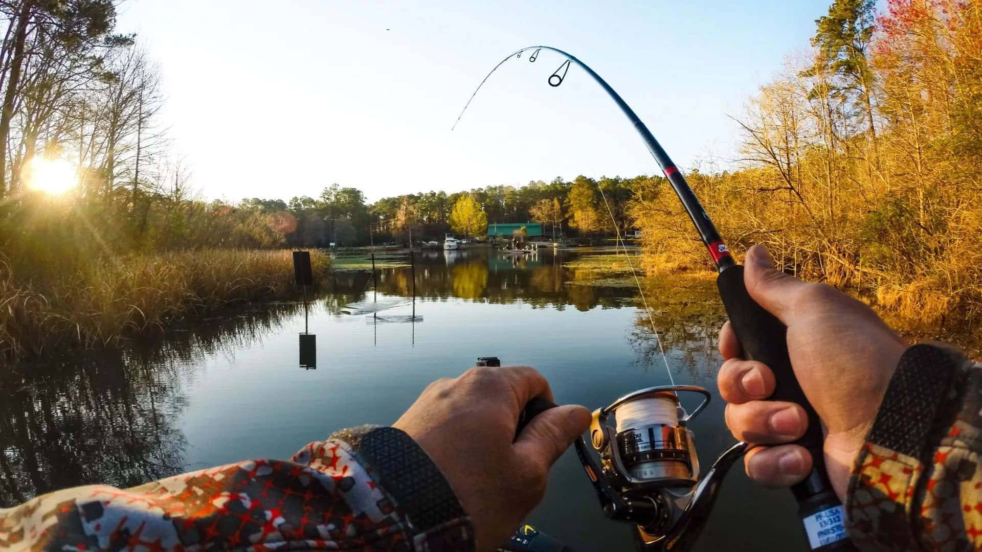 Experience The Thrill Of Fly Fishing In A Scenic Natural Setting