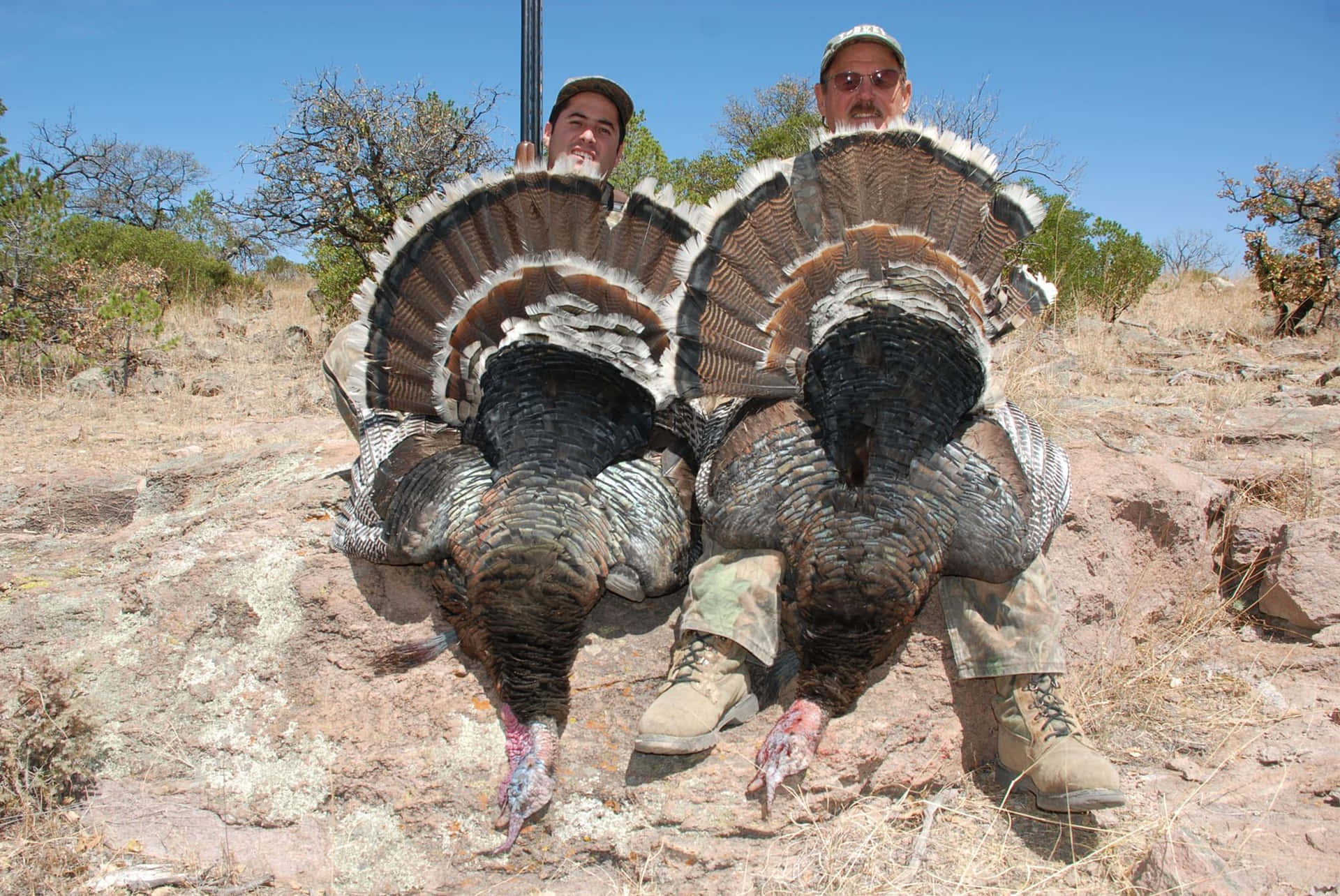 Experience The Thrill Of Hunting Wild Turkeys Background