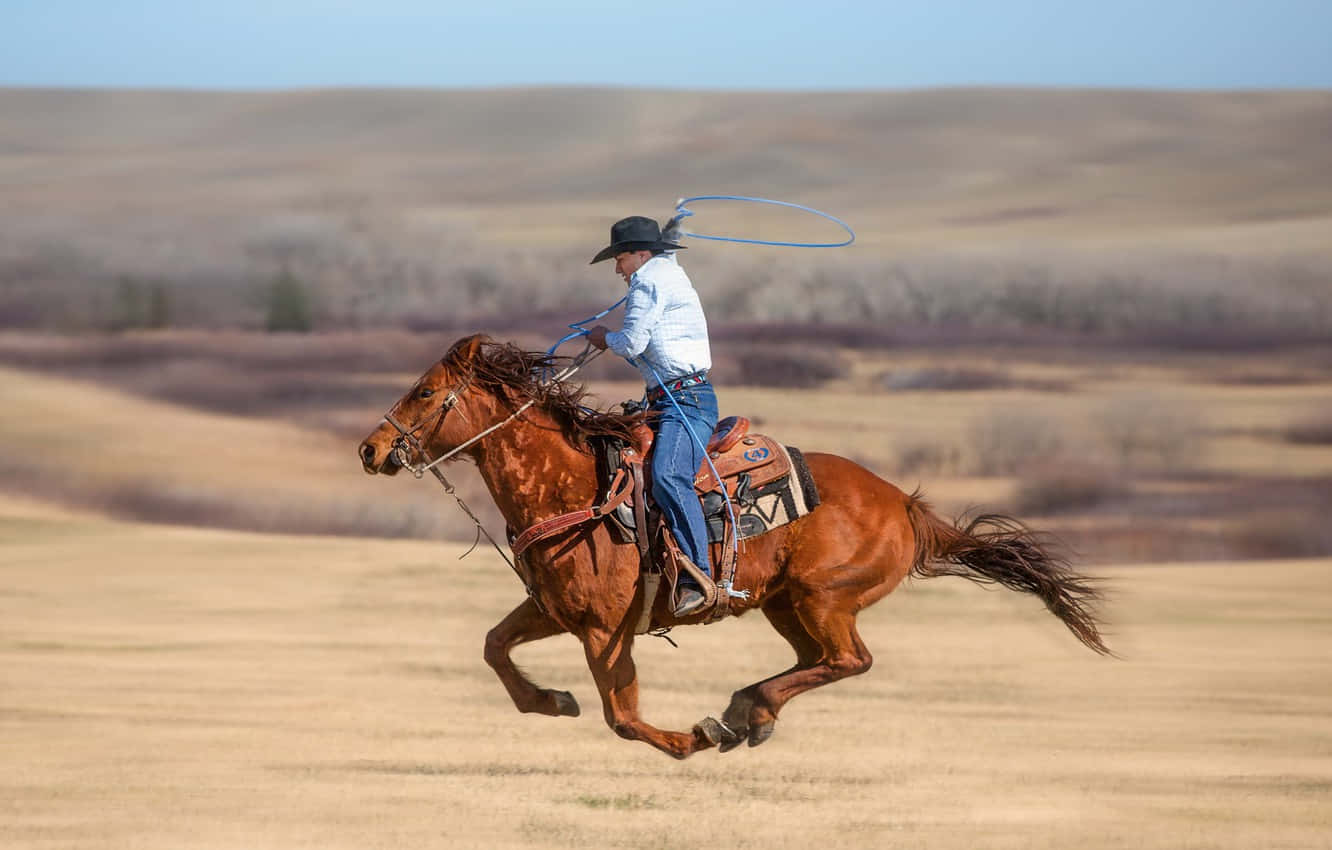 Experience The Thrill Of Team Roping