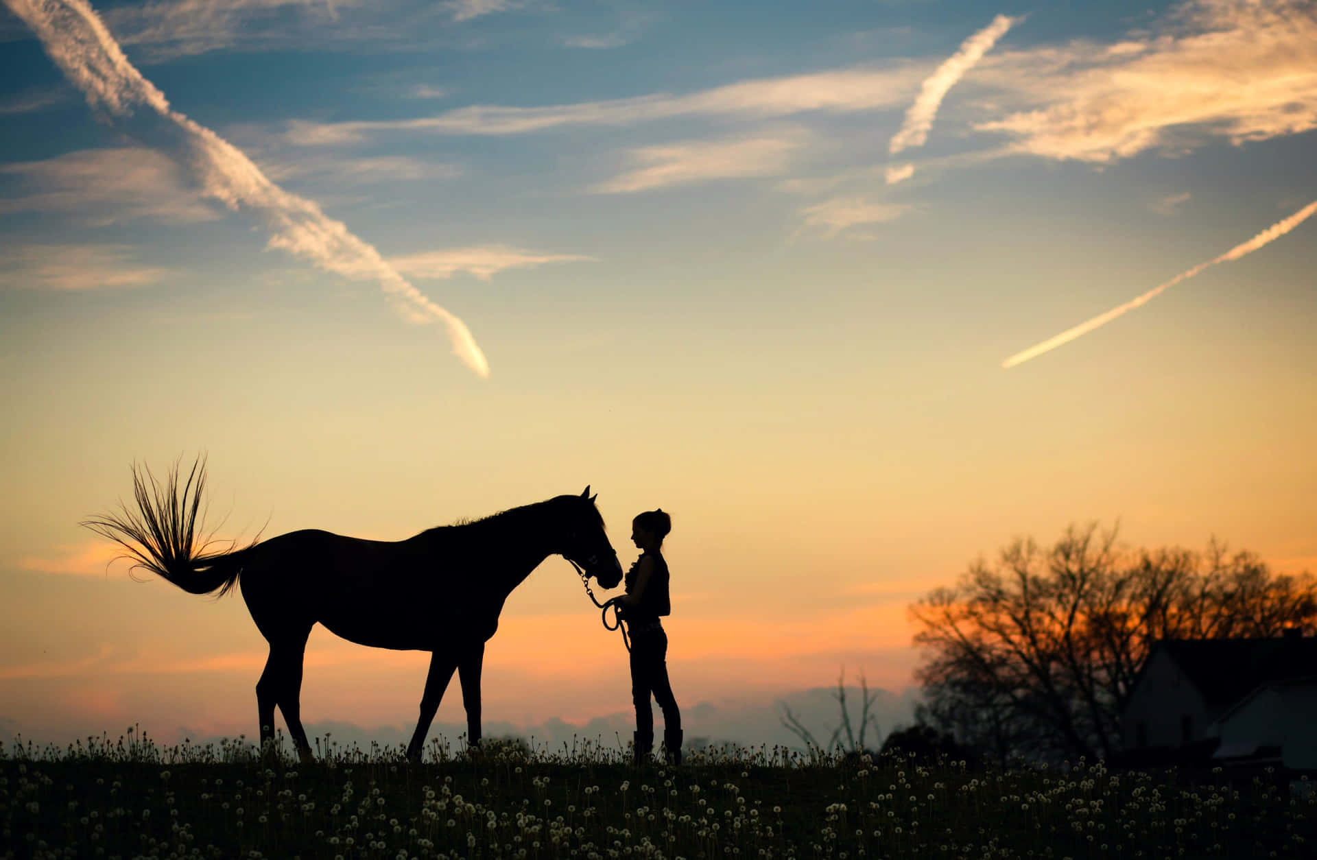 Experience The Tranquil Beauty Of A Ranch Background