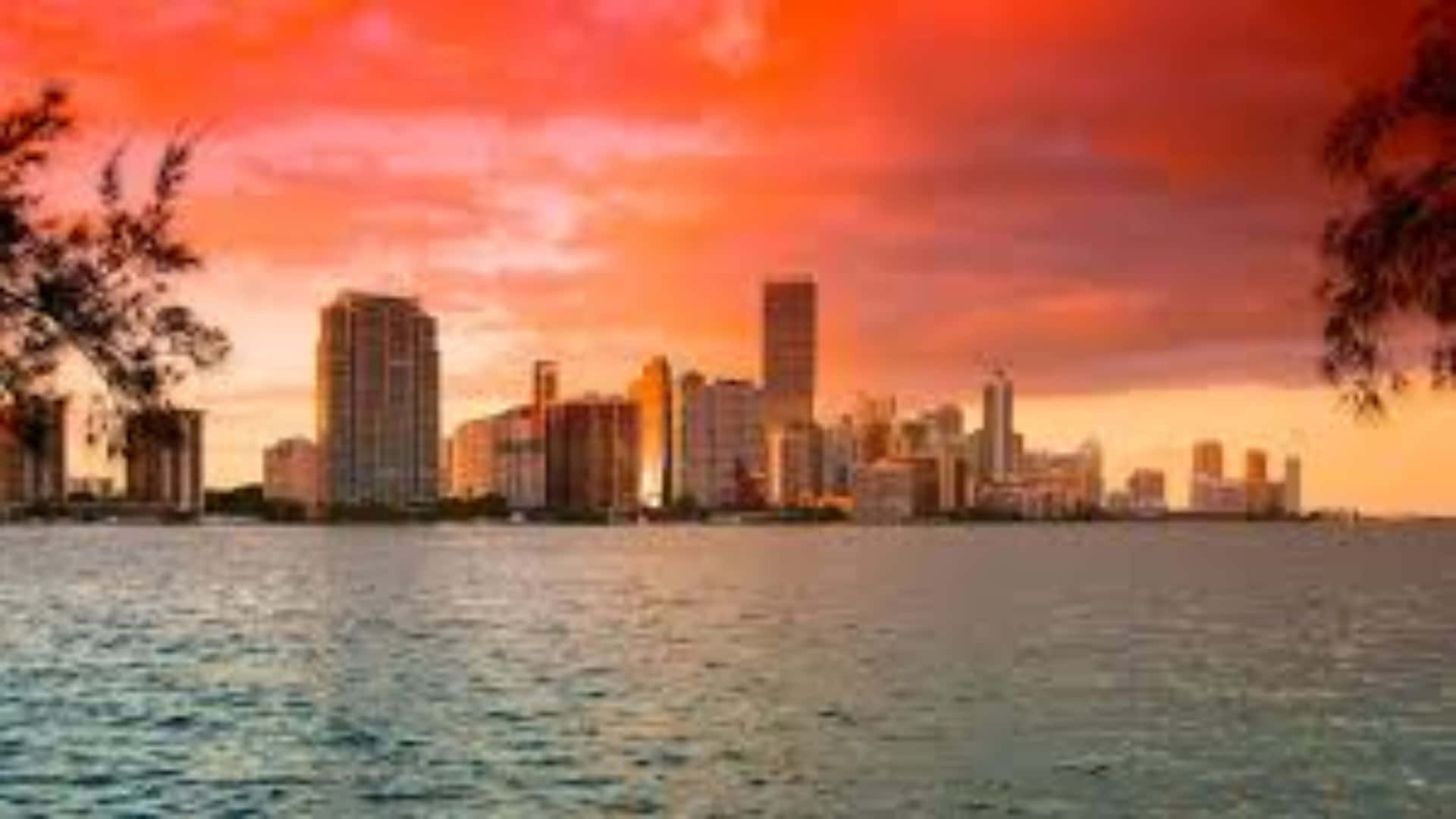 Experience The Vibrant Beauty Of Miami Background