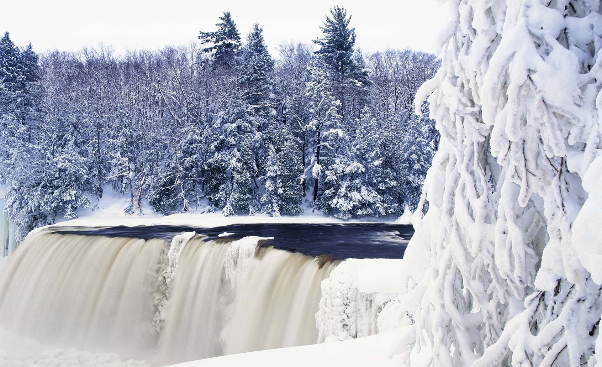 Experience The Winter Scenery Of Nature Straight From Your Desktop Background