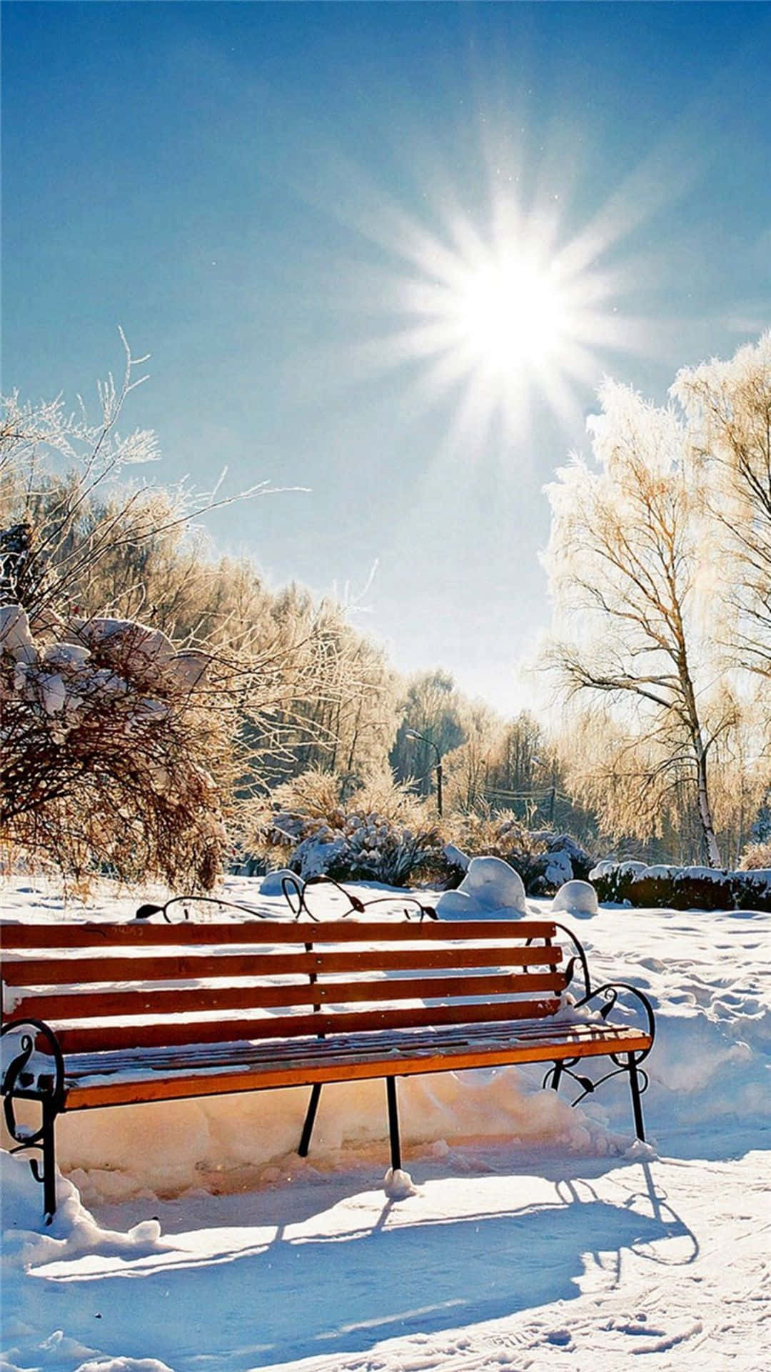 Experience The Winter Wonderland With The Iphone 6 Plus! Background