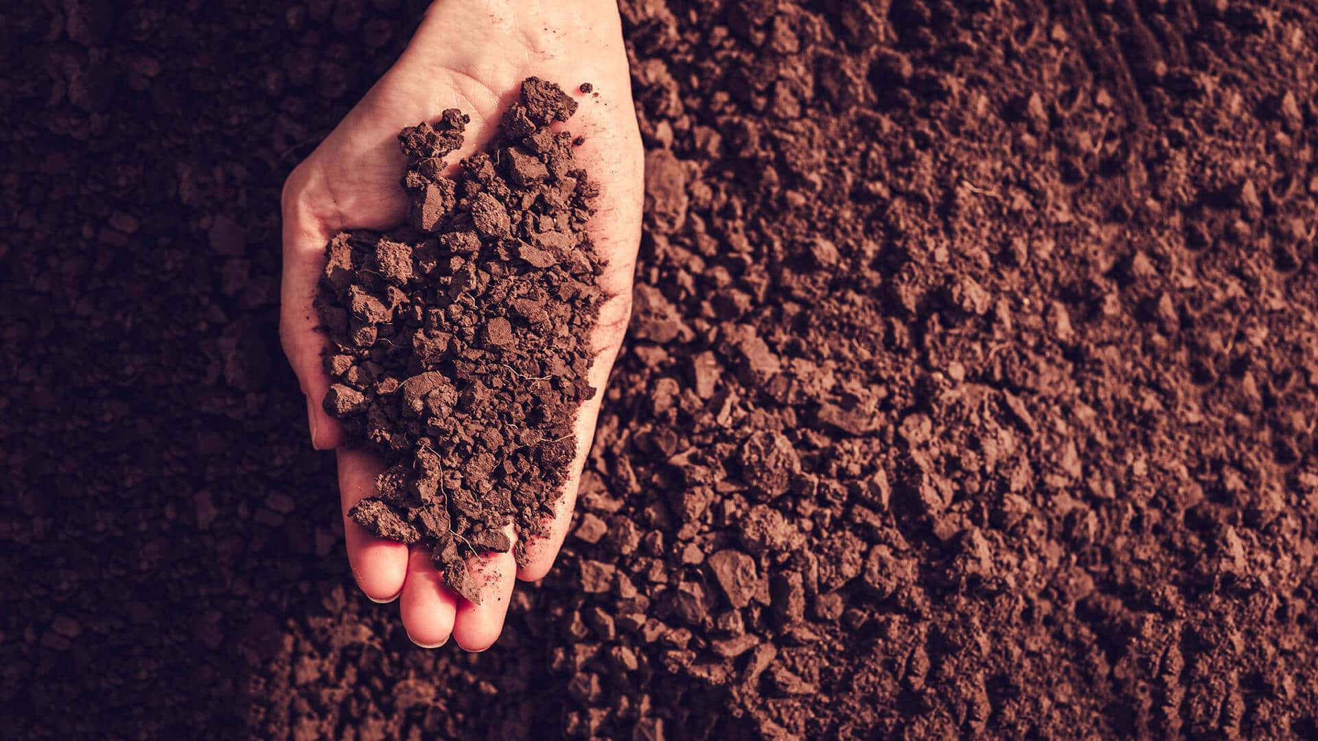 Experienced Farmer Examining Soil Quality Background