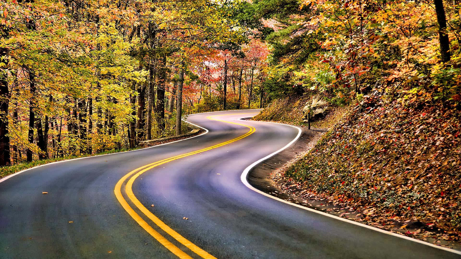 Experiencing The Beauty Of A Scenic Drive Background