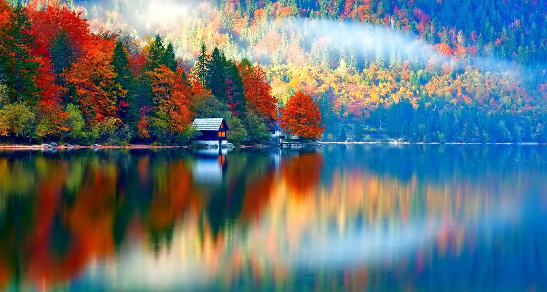 Experiencing The Beauty Of Fall Colors Background