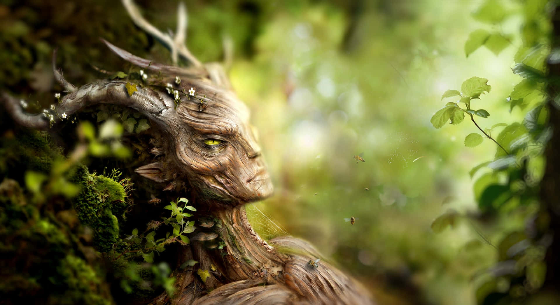 Explore A World Of Adventure And Mystery In Best Skyrim Background