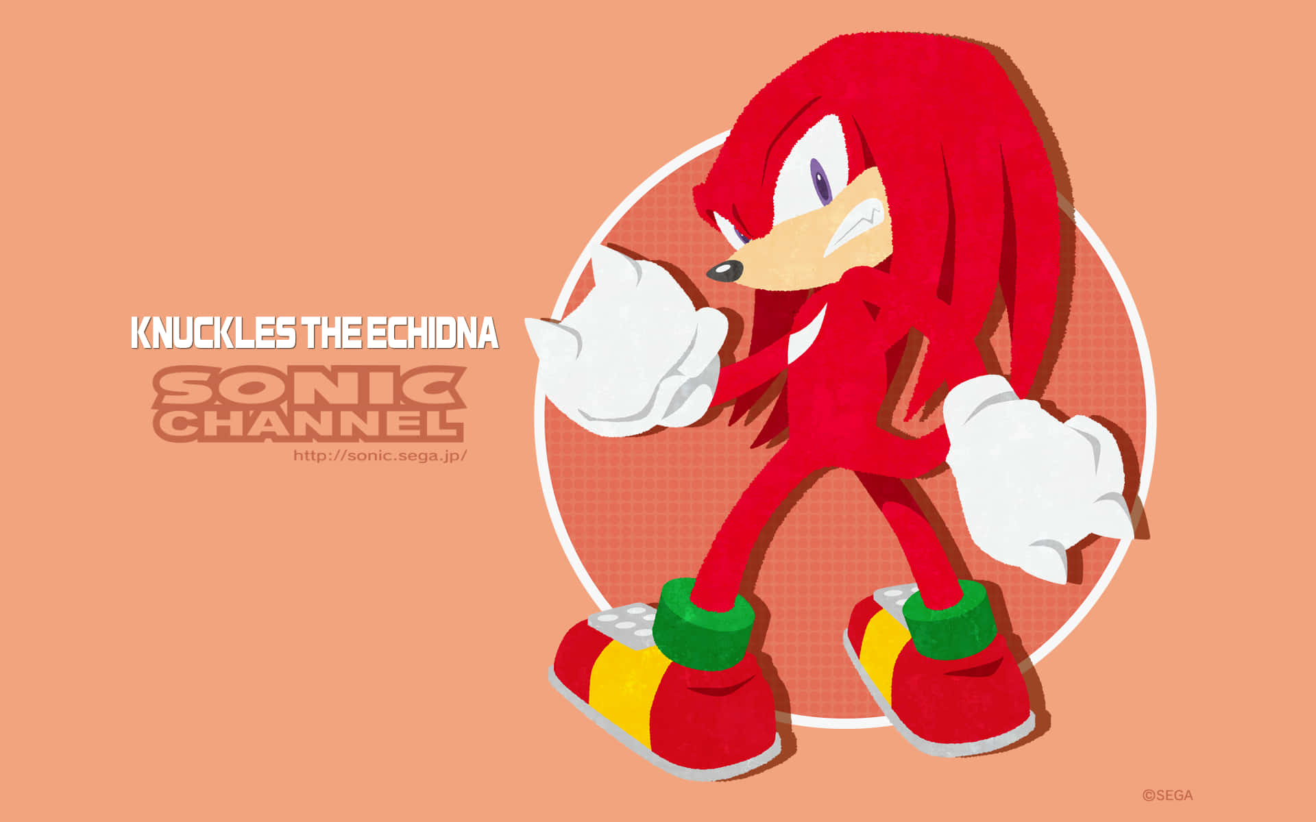 Explore And Discover With Knuckles!