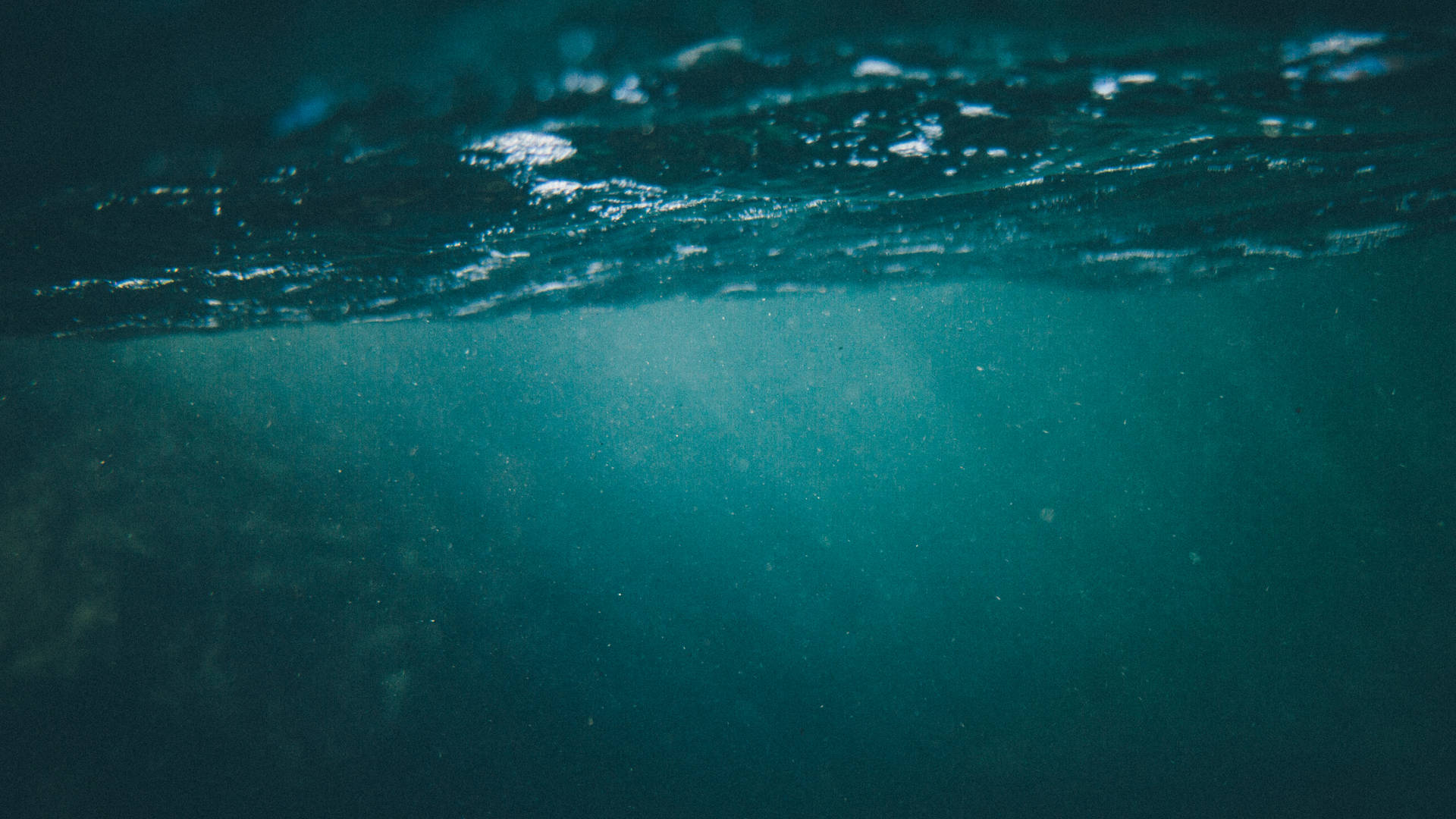 Explore Nature's Marvels Underwater Background