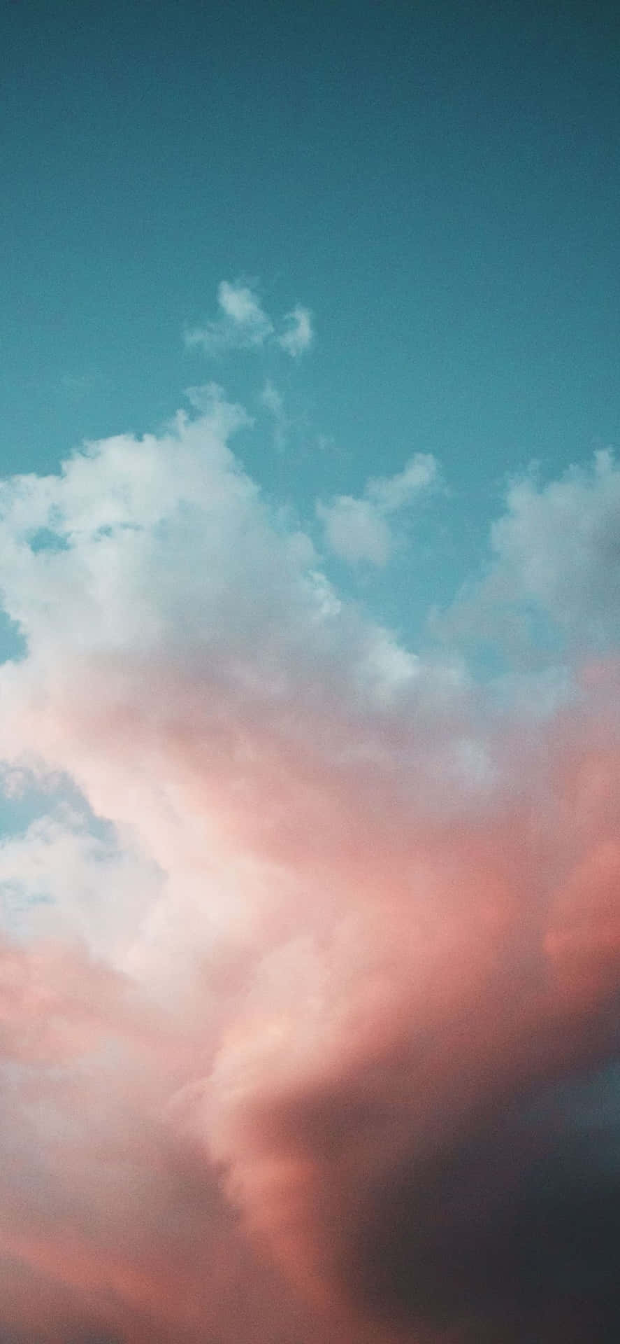 Explore Nature's Vibrant Color Palette Background