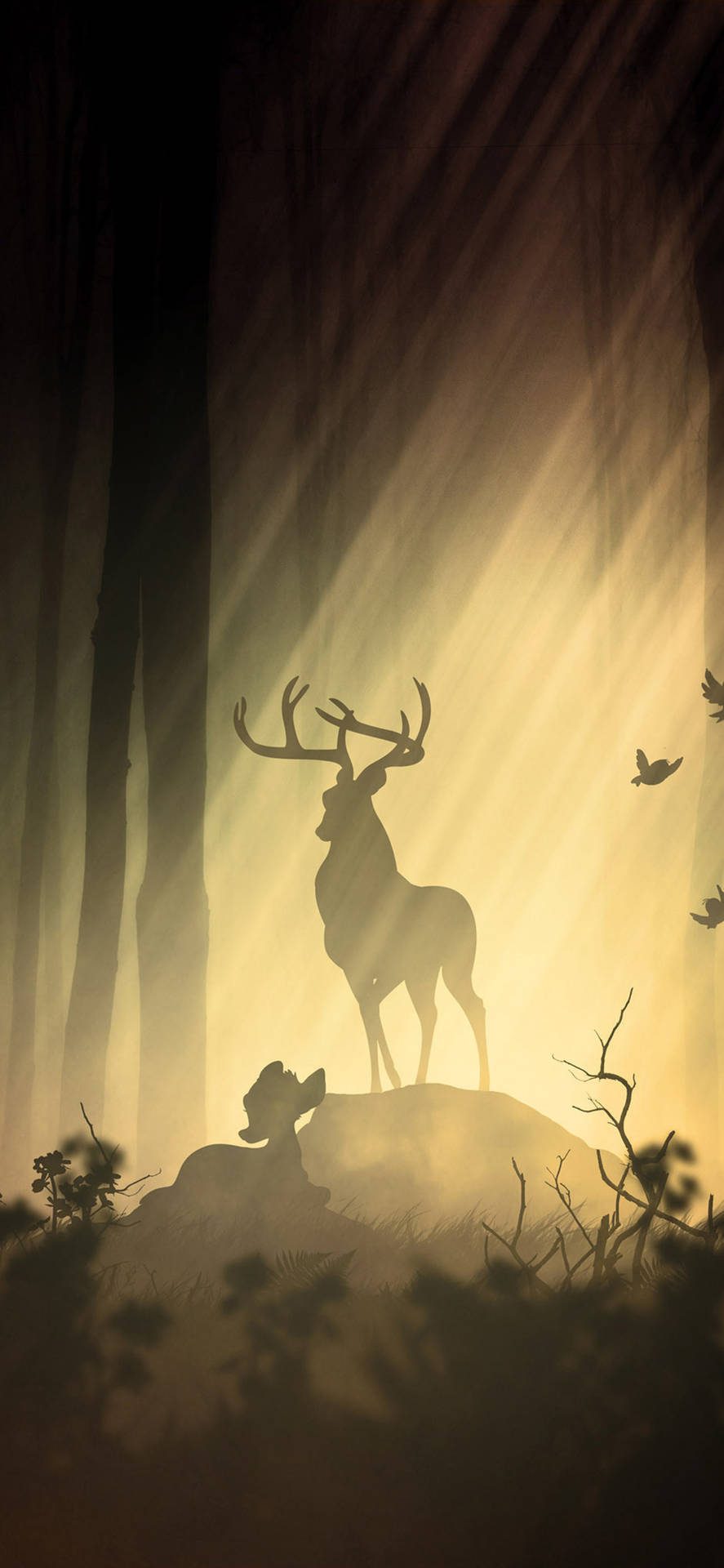 Explore Nature With Your Deer Iphone Background