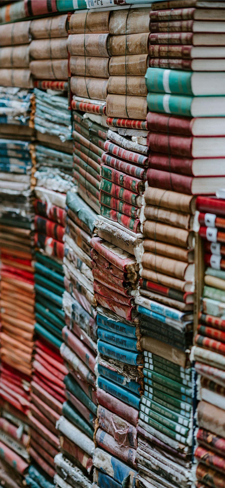 Explore New Ideas With A Books Iphone Background