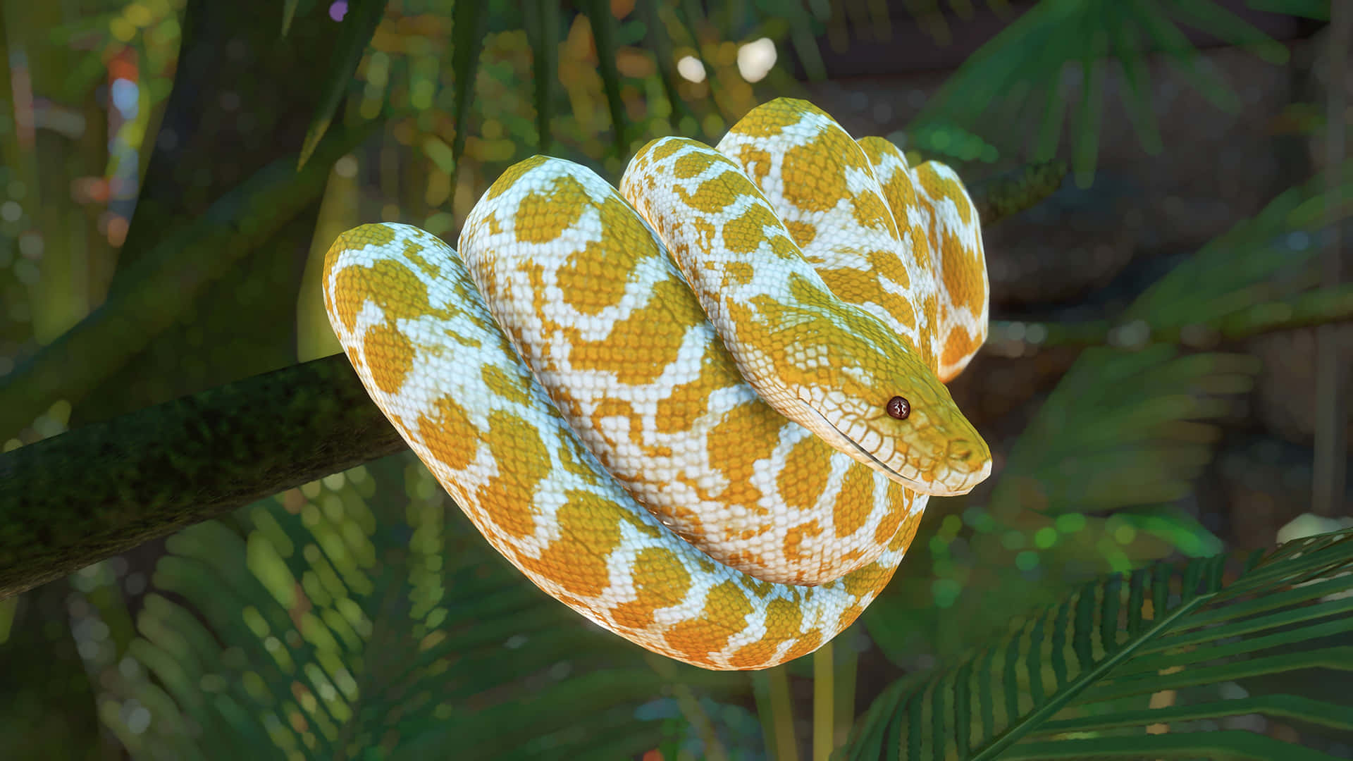 Explore Python - Become A Coding Pro Background