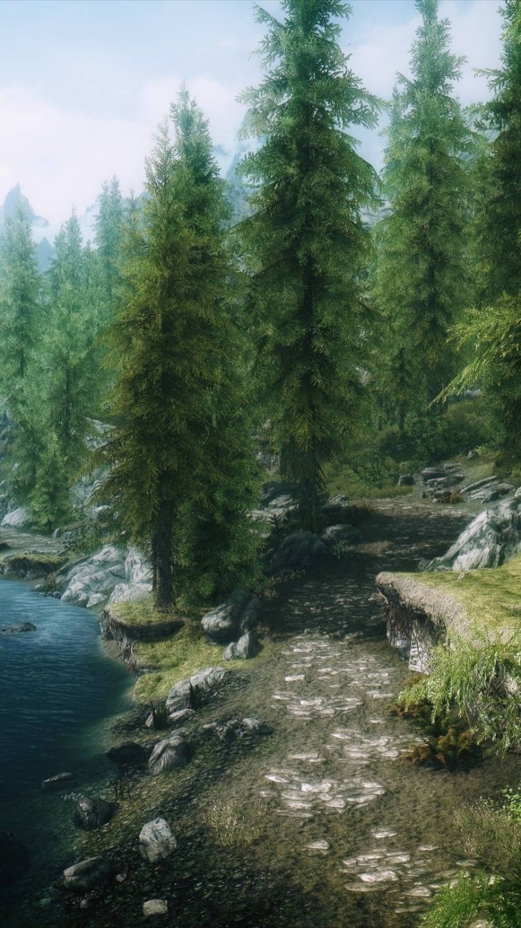 Explore The Amazing World Of Skyrim On Your Phone Background