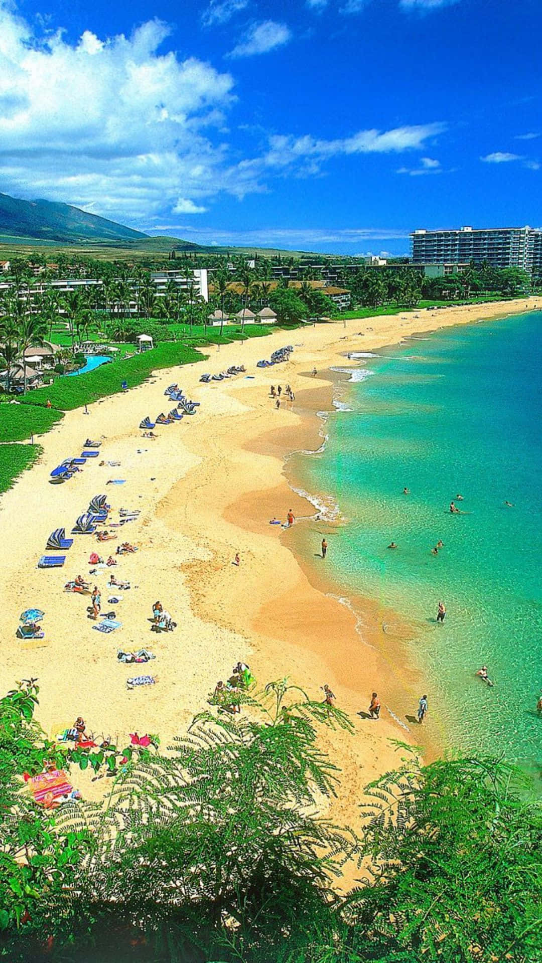 Explore The Beauty Of Hawaii With Your Iphone. Background