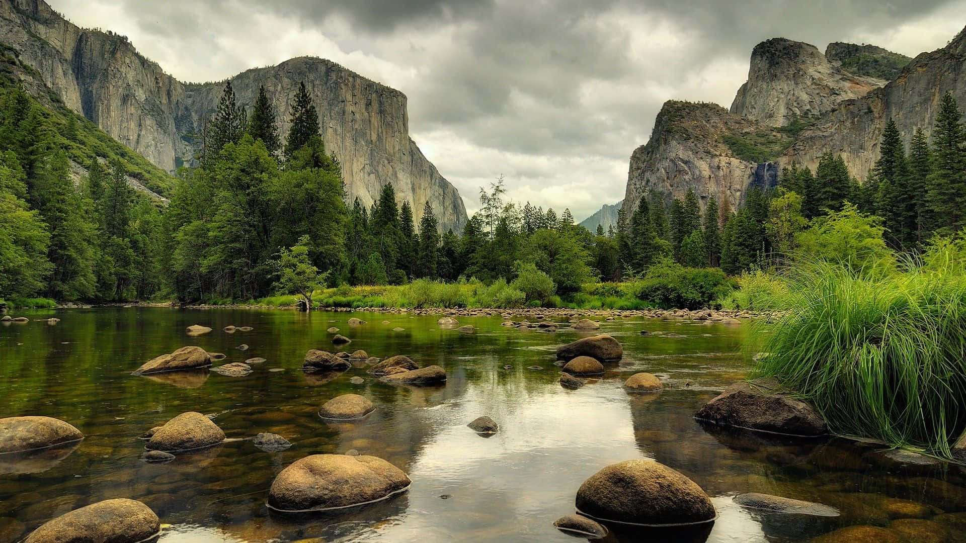 Explore The Beauty Of Nature With A Desktop Background Inspired By A Forest. Background