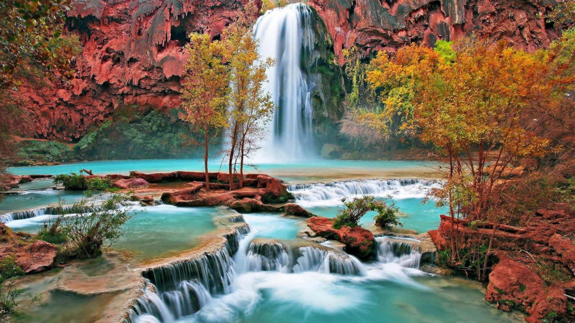 Explore The Beauty Of Nature With This Stunning 1920 X 1080 Wallpaper Background