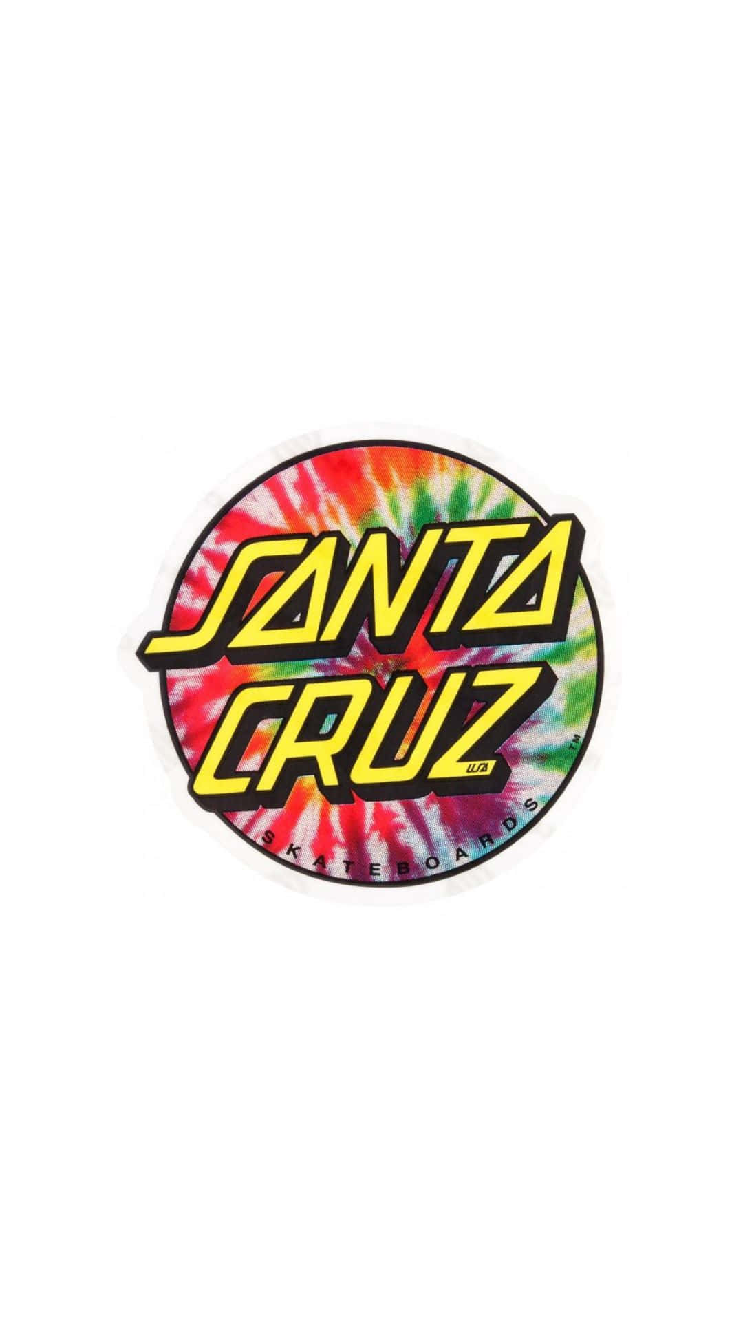 Explore The Beauty Of Santa Cruz!