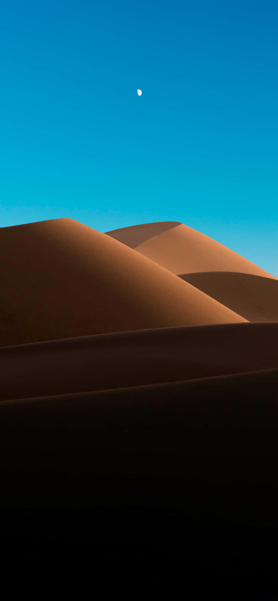 Explore The Beauty Of The Desert With An Iphone