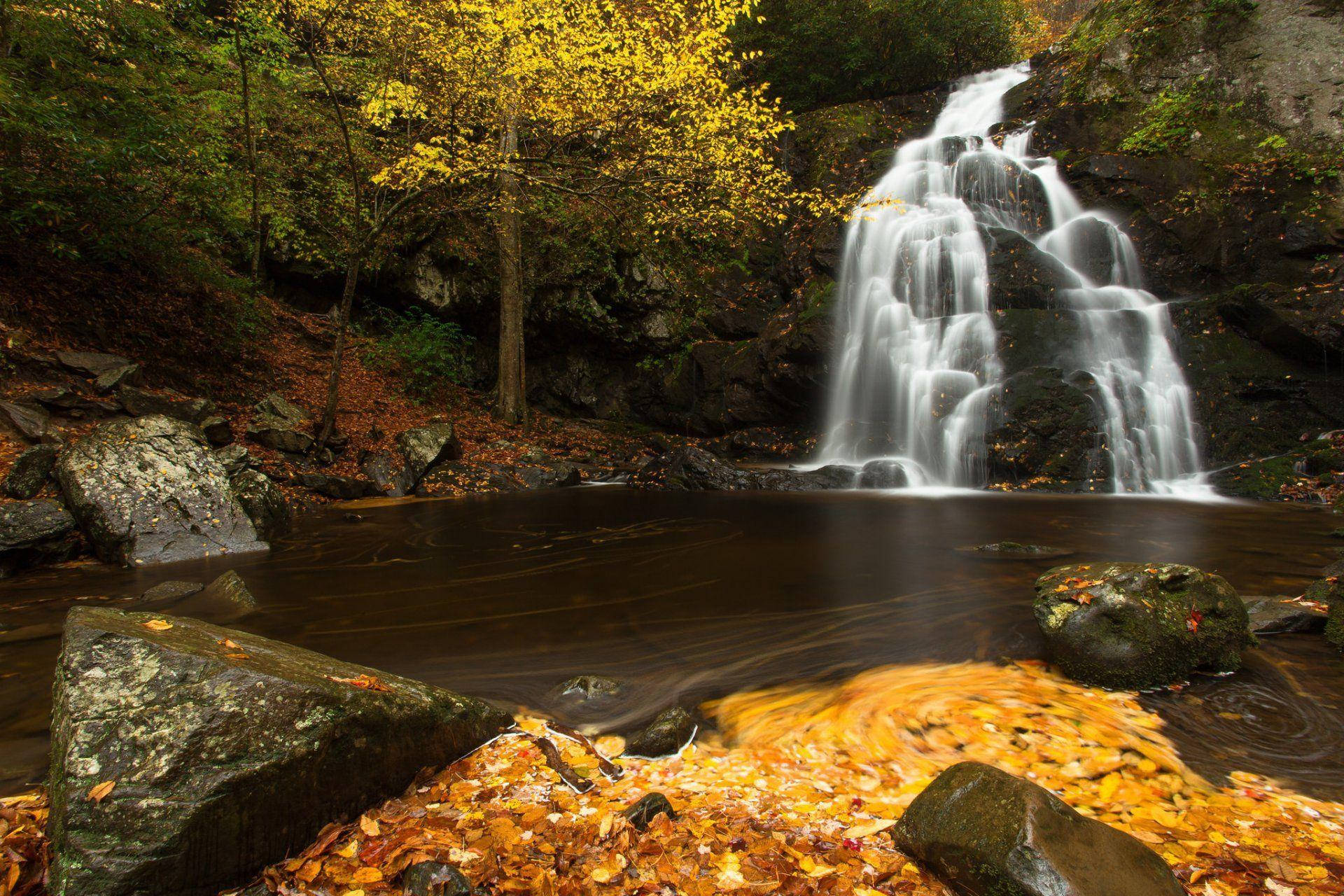 Explore The Beauty Of The Great Smoky Mountains Background