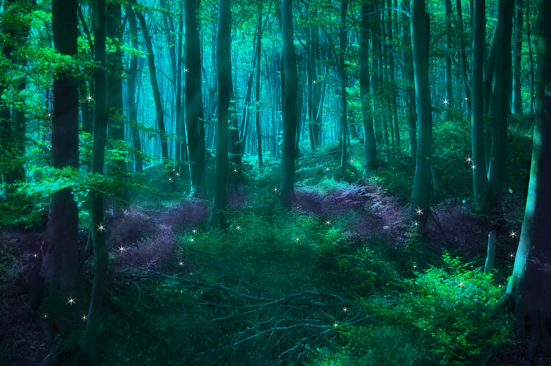 Explore The Beauty Of The Magical Forest Background