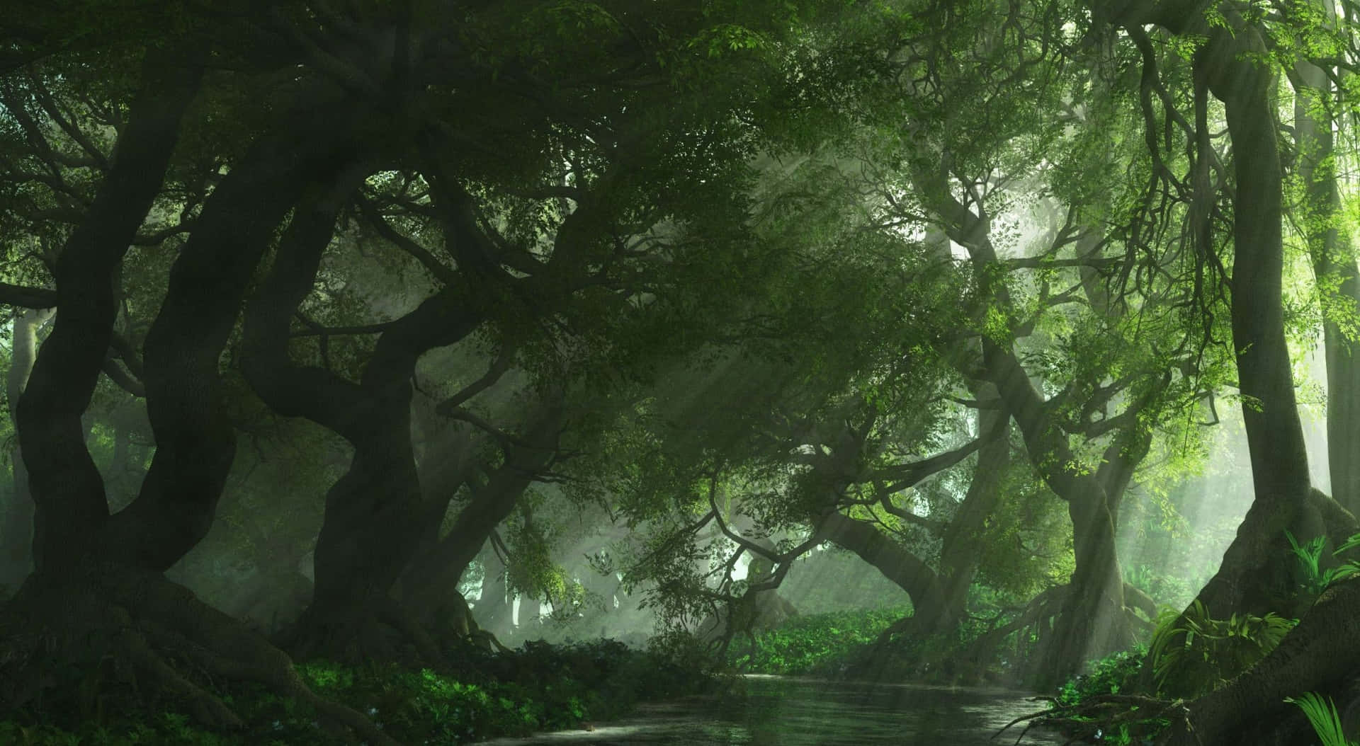 Explore The Enchanting Anime Forest! Background