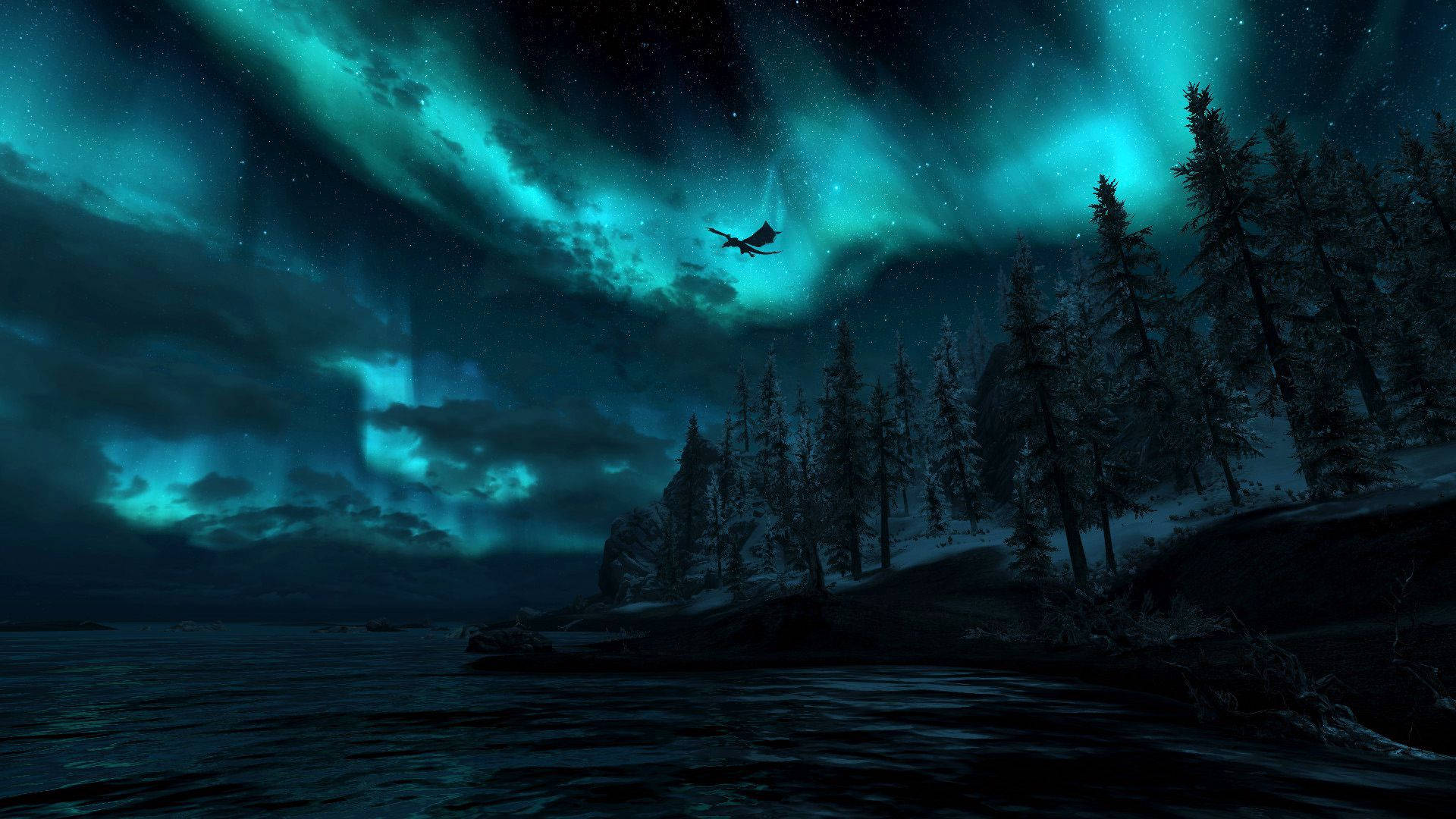 Explore The Expansive World Of Skyrim