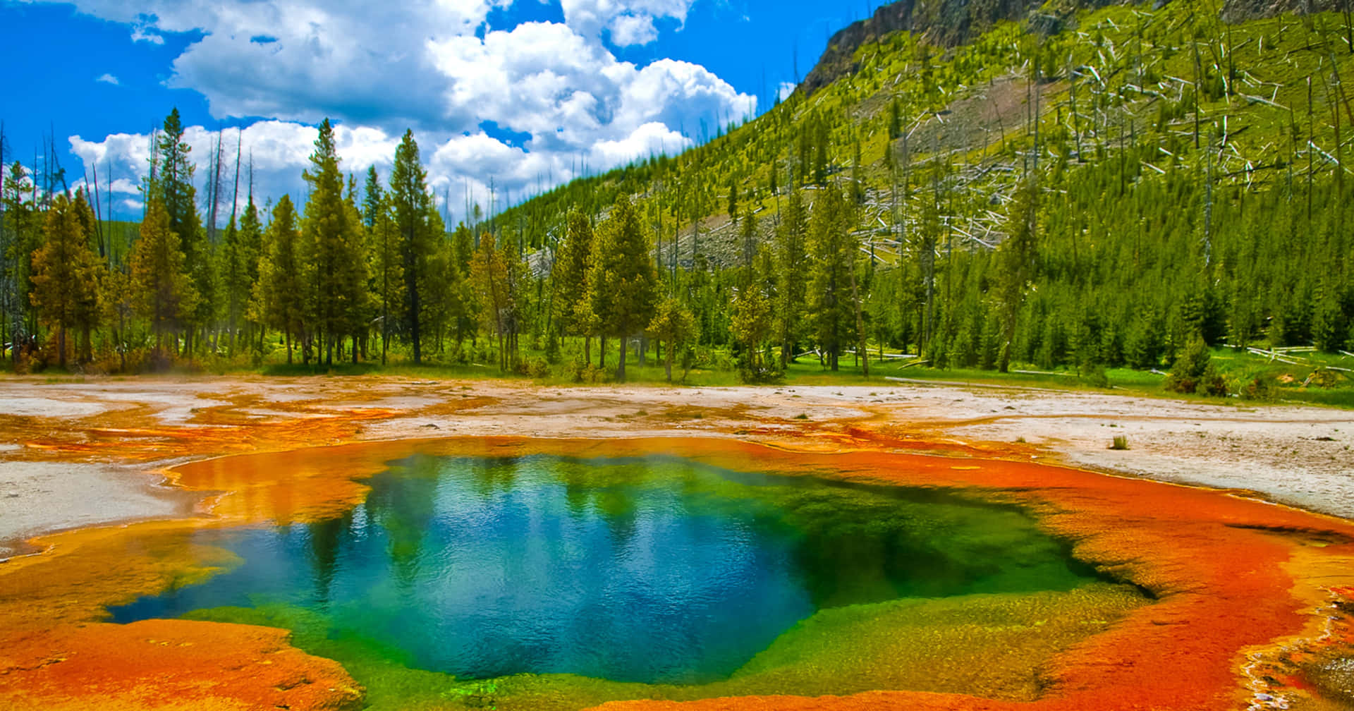 Explore The Great Beauty Of Nature Background