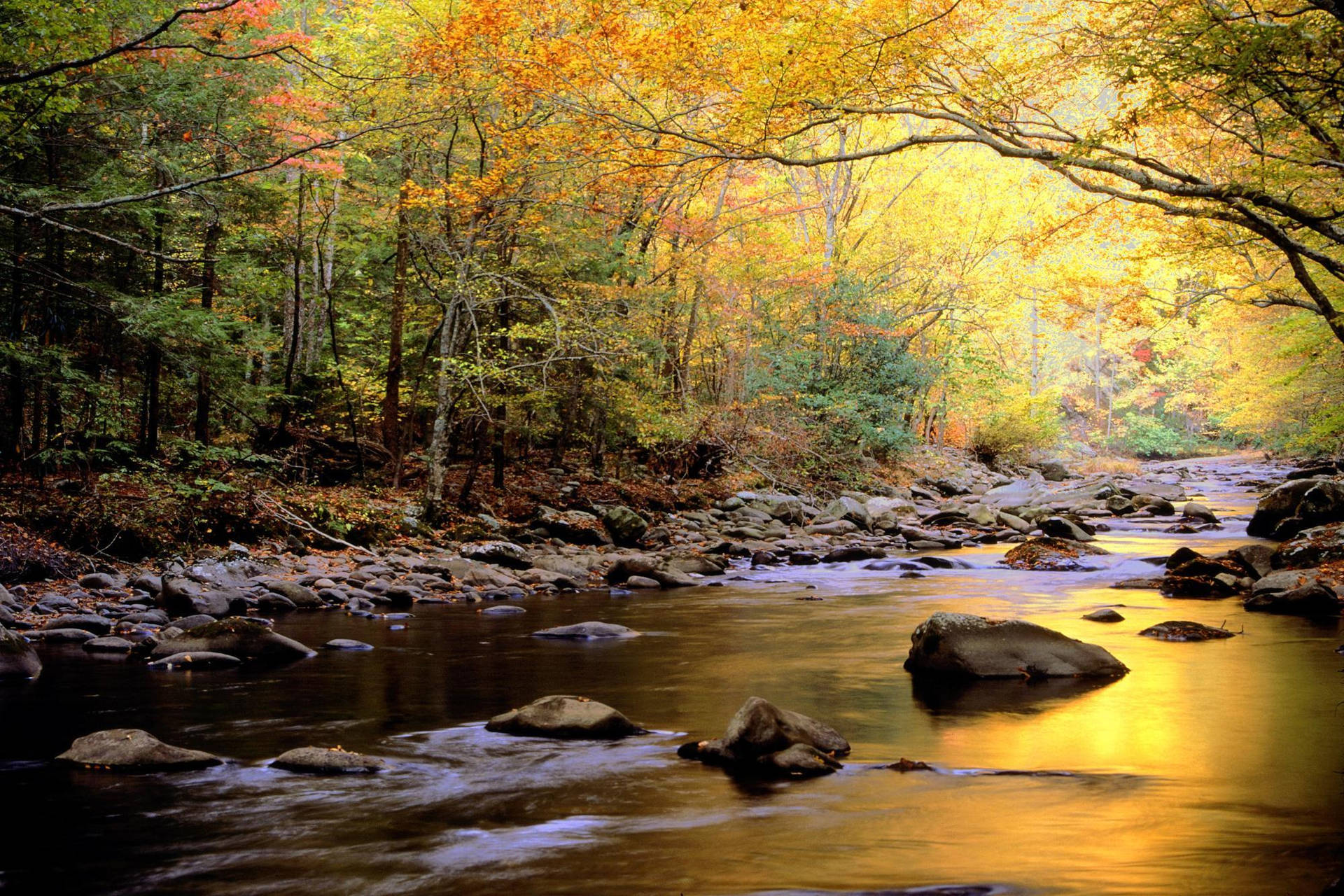 Explore The Great Smoky Mountains Background