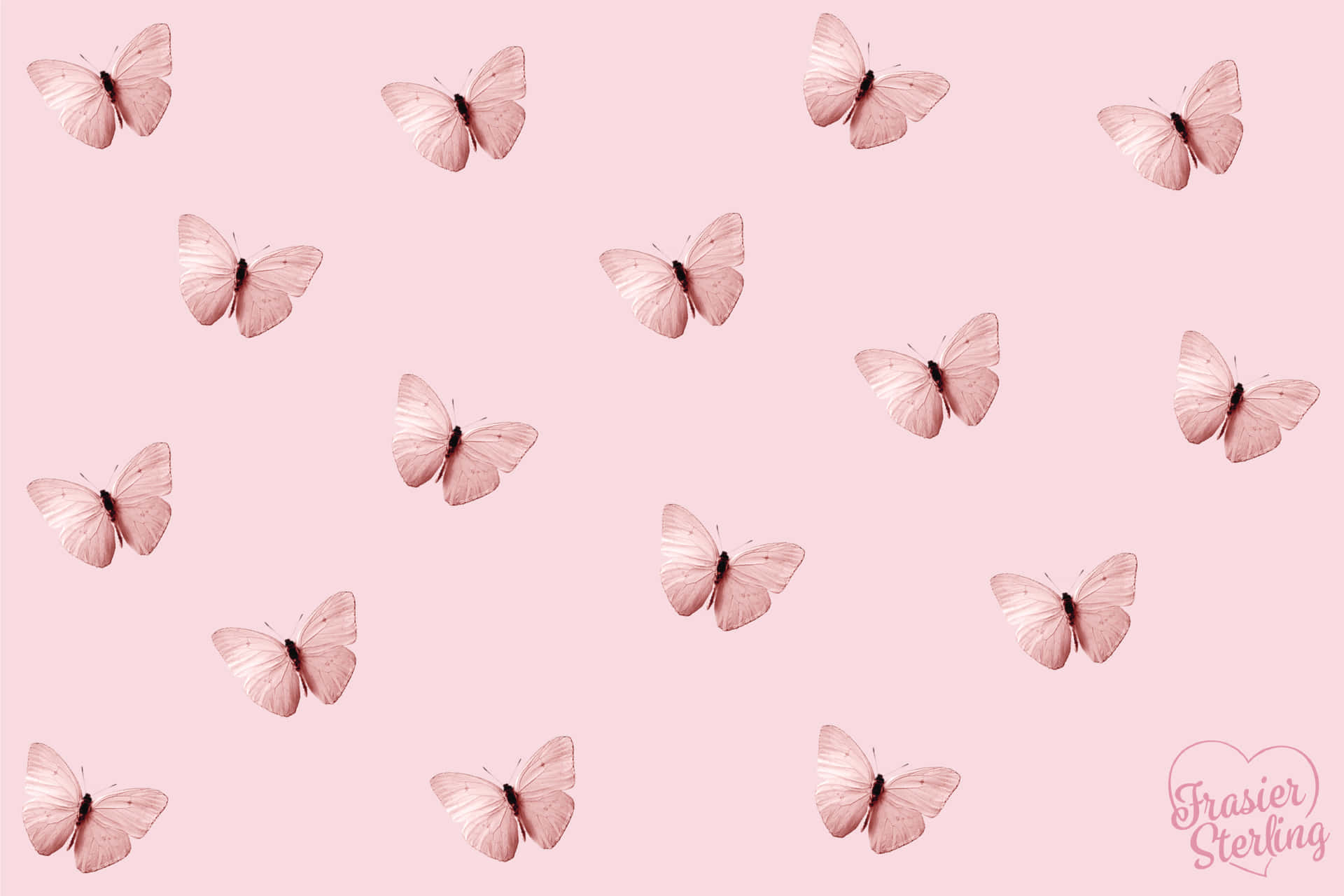 Explore The Intricacies Of Nature With Butterflies Laptop Background