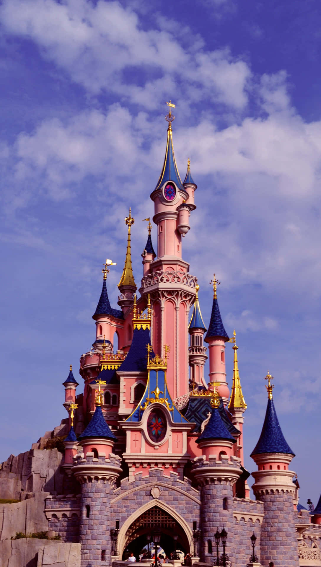 Explore The Magic Of Disney World With An Iphone Background