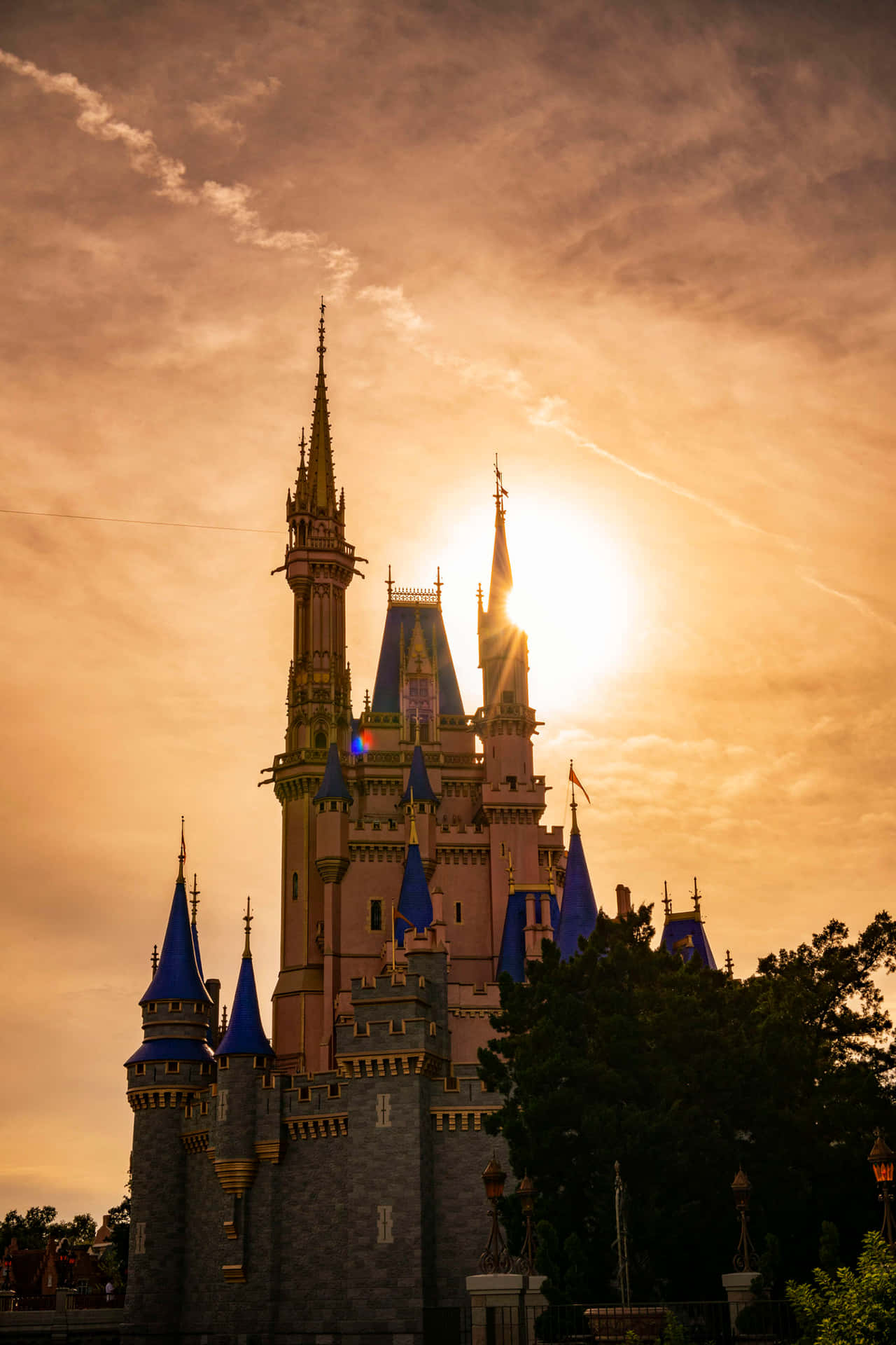 Explore The Magic Of Walt Disney World On Android Background