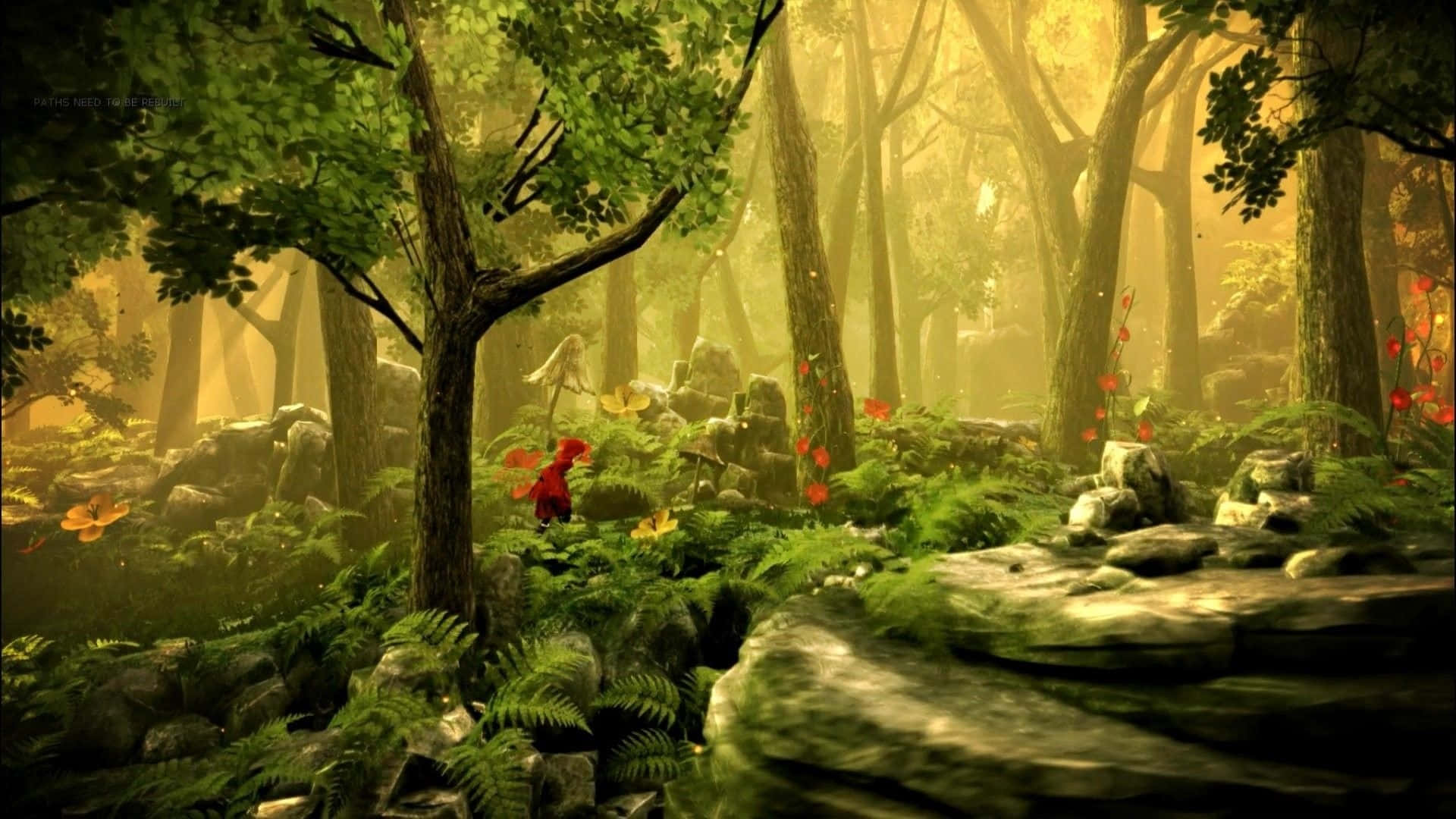 Explore The Magical Fairy Forest Background